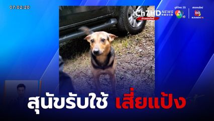 พาออกจากป่าแล้ว เจ้าหมี สุนัขรับใช้ เสี่ยแป้ง