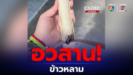 อวสาน ข้าวหลามเจอแมลงสาบในกระบอกข้าวหลาม