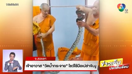 เจ้าอาวาสวัดน้ำกระจาย โชว์ใช้มือเปล่าจับงู จ.สงขลา