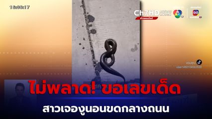 ไม่พลาด! สาวเจองูนอนขดกลางถนน ขอเลขเด็ด