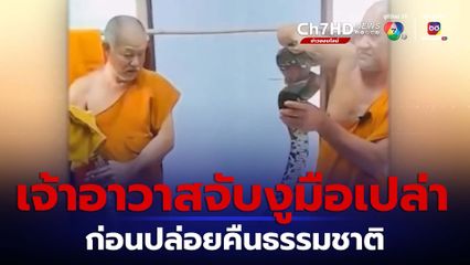 เจ้าอาวาสวัดน้ำกระจาย โชว์ใช้มือเปล่าจับงู จ.สงขลา