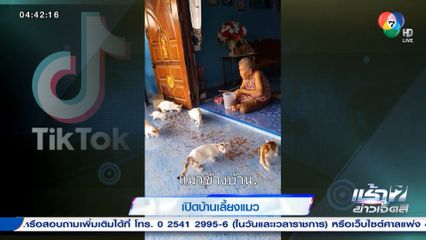 น่าเอ็นดู! คุณยายเปิดบ้านเลี้ยงแมว อิ่มกันทั่วหน้า