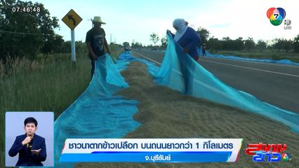 ชาวนาตากข้าวเปลือกบนถนน ยาวกว่า 1 กิโลเมตร จ.บุรีรัมย์
