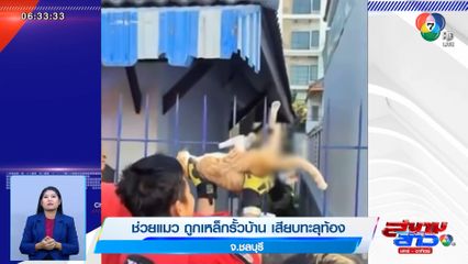 ภาพเป็นข่าว : หวาดเสียว! ช่วยแมวถูกเหล็กรั้วบ้าน เสียบทะลุท้อง จ.ชลบุรี