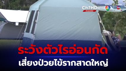 กางเต็นท์นอนในป่า ระวังตัวไรอ่อนกัด เสี่ยงป่วยโรคไข้รากสาดใหญ่
