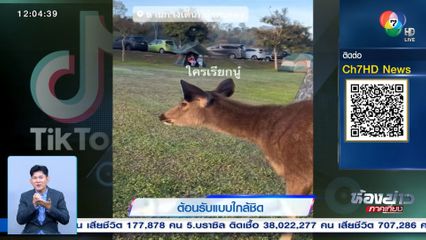 กางเต็นท์ที่อุทยาน มีพนักงานต้อนรับแบบใกล้ชิด