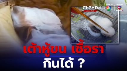 อ.อ๊อด - หมอเอิร์ธ แนะข้อควรระวัง "เต้าหู้ขน" เมนูจากเชื้อราไวรัลสนั่นโซเชียล