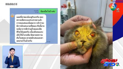 เด็กข้างบ้านแผลงฤทธิ์ ทำร้ายแมว เสี่ยงตาบอด จ.นครพนม