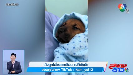 ภาพเป็นข่าว : ถึงลูกไม่ใช่สายเลือด แม่ก็ยังรัก