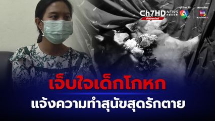 เจ็บใจเด็กโกหก แจ้งความจับทำสุนัขสุดรักตาย