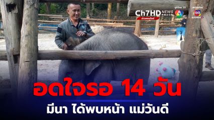 กักโรค 14 วัน ก่อนให้ “น้องมีนา” พบหน้า “แม่วันดี” ช้างแม่รับ