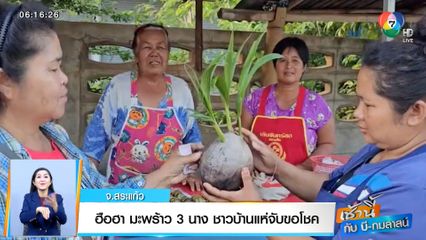 เช้านี้กับ บี กมลาสน์ : ฮือฮา มะพร้าว 3 นาง ชาวบ้านแห่จับขอโชค จ.สระแก้ว