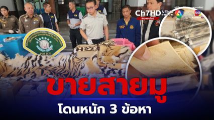 จับพ่อค้าออนไลน์แมวโพง ลักลอบขายซากเสือ ยึดของกลาง 500 ชิ้น