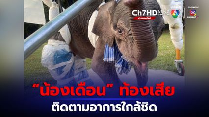 “น้องเดือน” ท้องเสีย ทีมสัตวแพทย์ติดตามอาการอย่างใกล้ชิด