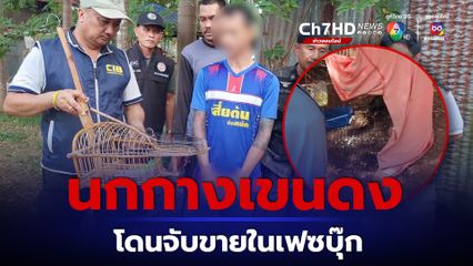 นกกางเขนดงสัตว์ป่าคุ้มครองโดนหนุ่มปราจีนฯ จับขายผ่านเฟซบุ๊ก
