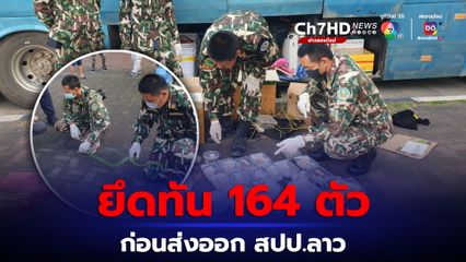 จับกุมหนุ่มเวียดนาม ลักลอบค้าสัตว์ป่าพบของกลาง 164 ตัว 