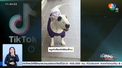 เอ็นดูน้องหมาแสนรู้ มีมารยาท เห่าแบบเก็บเสียง