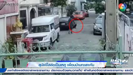 สุนัขฉี่ใส่ล้อเป็นเหตุ เพื่อนบ้านทะเลาะกัน