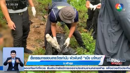 ตั้งกรรมการสอบสารวัตรกำนัน พัวพันคดี แป้ง นาโหนด จ.พัทลุง