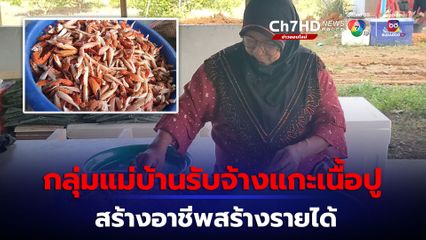 กลุ่มแม่บ้านสตรีริมทะเลมือฉมังรับจ้างแกะปูก่อนมาแปรรูป สร้างรายได้เลี้ยงครอบครัว