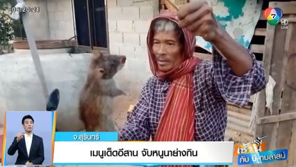 เช้านี้กับ บี กมลาสน์ : เมนูเด็ดอีสาน จับหนูนาย่างกิน จ.สุรินทร์