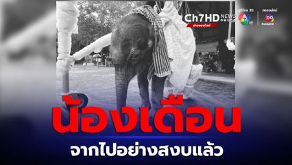 พลายเดือน ลูกช้างป่าพลัดหลง จากไปอย่างสงบแล้ว