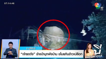 บี คลายทุกข์ : เจ้ารถถัง ช้างป่าบุกพังบ้าน ขโมยกินข้าวเปลือก จ.บุรีรัมย์