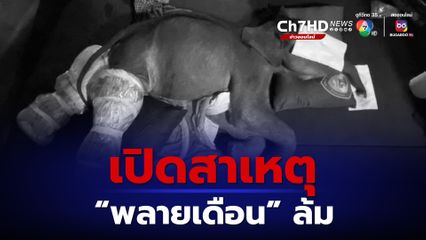 พลายเดือนล้ม พบระบบทางเดินอาหารผิดปกติ