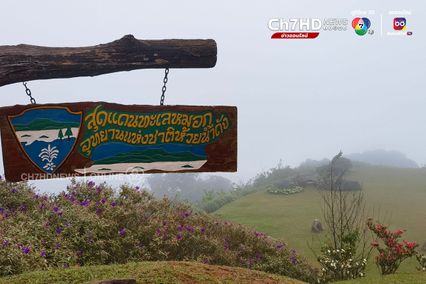 งดงาม ชมทะเลหมอก ดอยกิ่วลม เช้านี้หนาว 17 องศาฯ