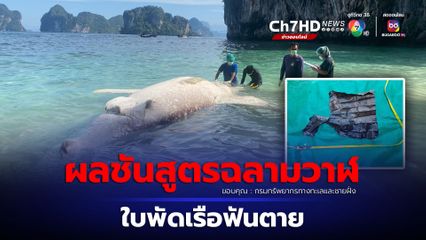 ผลชันสูตรซากฉลามวาฬเกยตื้น ถูกใบพัดเรือฟัน