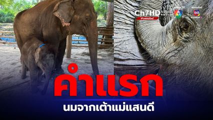 น้องมีนา หัดดูดนมคำแรกจากเต้าแม่แสนดี