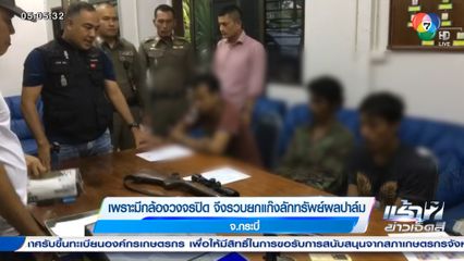 เพราะมีกล้องวงจรปิด จึงรวบยกแก๊งลักทรัพย์ผลปาล์ม จ.กระบี่