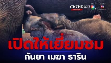 สิ้นสุดการรอคอย เปิดให้เยี่ยมชมพัฒนาการช้างน้อย "กันยา เมฆา ธาริน"