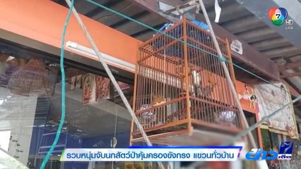 รวบหนุ่มจับนกสัตว์ป่าคุ้มครองขังกรง แขวนทั่วบ้าน