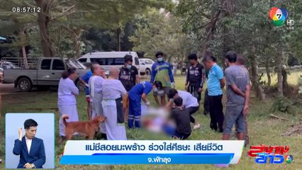 แม่ชีสอยมะพร้าว ร่วงใส่ศีรษะ เสียชีวิต จ.พัทลุง