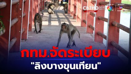 กทม. จัดโซนนิ่งลิงบางขุนเทียน ป้องกันกระทบบ้านเรือน จับมือ ทส. ทำหมันเพิ่ม 100 ตัว