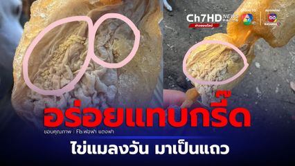 อวสานมื้ออร่อย ลูกชิ้นทอดไข่แมลงวันมาเป็นแถว