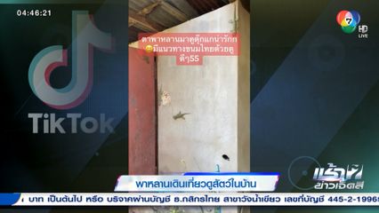 แบบนี้ขนลุก! พาหลานเดินเที่ยวดูสัตว์ในบ้าน