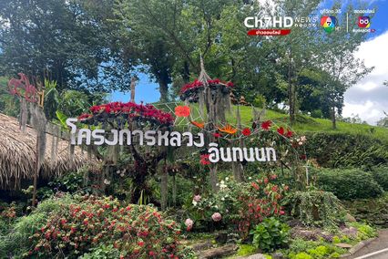 ดอยอินทนนท์รถแน่น การจราจรสาหัส จนท.แนะแวะเที่ยวอุทยานฯ ใกล้เคียง