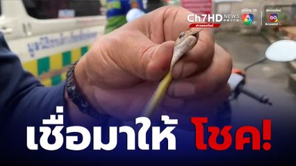 เชื่อมาให้โชค งูเลื้อยเข้ารถจักรยานยนต์