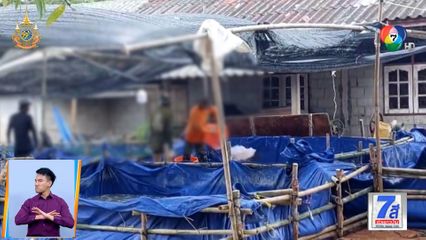 ทนไม่ไหวผู้ประกอบการรับซื้อแมงกะพรุนสร้างปัญหา จ.กระบี่