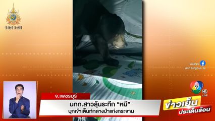 นักท่องเที่ยวสาวลุ้นระทึก หมีบุกเข้าเต็นท์กลางป่าแก่งกระจาน