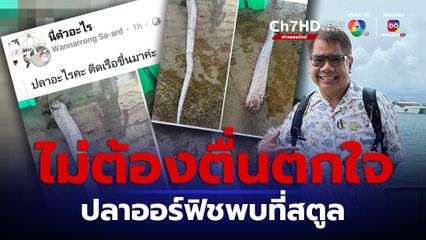 ชื่อปลาแผ่นดินไหวเป็นเรื่องบังเอิญ ดร.ธรณ์ยืนยันปลาออร์ฟิชพบที่สตูล เป็นเรื่องธรรมชาติ