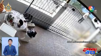 เพื่อนบ้านหมั่นไส้ สั่งพิตบุลล์ไปขย้ำสัตว์เลี้ยงถึงหน้าบ้าน จ.ราชบุรี