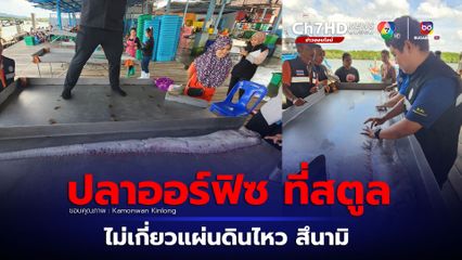 อ.เจษฎายันพบปลาออร์ฟิซที่ สตูล ไม่เกี่ยวกับแผ่นดินไหว สึนามิที่ญี่ปุ่น