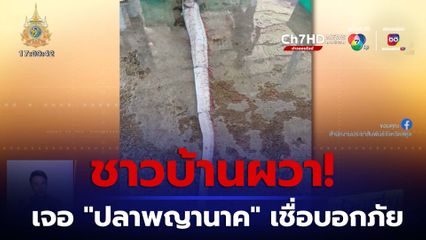 ผวา! เจอ ปลาออร์ฟิช หรือ ปลาพญานาค โยงความเชื่อ จ.สตูล