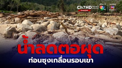 ท่อนซุงทะลักจากเขาเมาะแต จ.นราธิวาส ป.ป.ช.ลงพื้นที่ตรวจสอบ