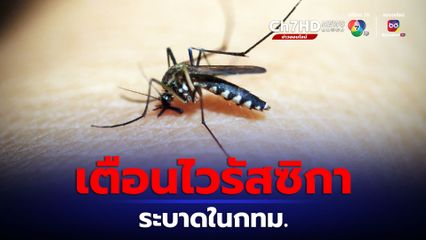 เตือนไวรัสซิกา พบระบาดในกทม.มากขึ้น