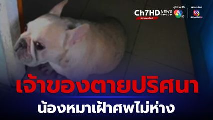 สลด ชายชาวมาเลเซียป่วยซึมเศร้าตายปริศนา มีน้องหมาแสนรักเฝ้าศพไม่ห่าง