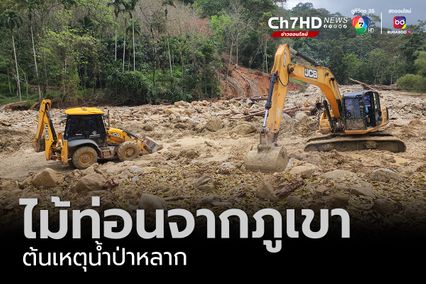 เปิดภาพไม้ท่อนจากป่าต้นน้ำนราธิวาส ต้นเหตุน้ำป่าหลาก